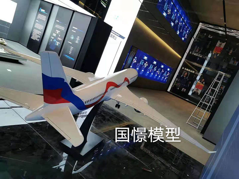 会泽县飞机模型