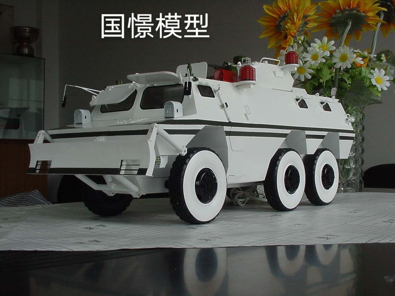 会泽县军事模型