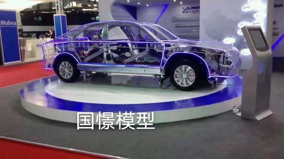 会泽县透明车模型